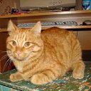 ���� Naked, ������������ - ��������� 17 ������� 2012 � ������ ���������� (�������� � ���������)�