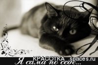���� Dima, ������, 37 ��� - ��������� 4 �������� 2011