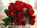 ���� ��������, ������, 43 ���� - ��������� 3 ��� 2013