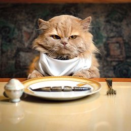 ���� ?, ����������� - ��������� 21 �������� 2012