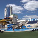  ., , 50  -  6  2011   .......