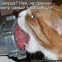 ���� ��������, �������� - ��������� 11 ����� 2012 � ������ �������� ��������