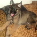 ���� �����, ������, 45 ��� - ��������� 8 ������� 2011 � ������ ���� ���