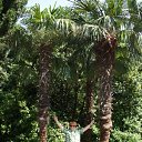 ���� ���������, ���, 65 ��� - ��������� 23 ������� 2011 � ������ ���� ����������