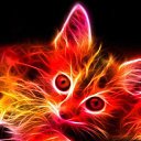 ���� *Heart*, ���� - ��������� 31 ���� 2013 � ������ ���� ����������