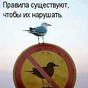 ���� �, �����-���������, 50 ��� - ��������� 30 ������� 2010 � ������ �������