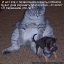���� �������, ������, 71 ��� - ��������� 2 ������ 2011 � ������ ���� �������� �����������