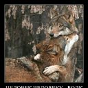 ���� ������, ������ �����, 63 ���� - ��������� 7 ������ 2012