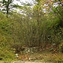 ���� Corrado666, �������, 41 ��� - ��������� 31 ������� 2009 � ������ ���� ������ ���������� ������� ...�