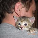 ���� �����, ������������, 50 ��� - ��������� 5 �������� 2010 � ������ �2010�