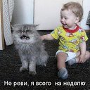 ���� �����, �������, 50 ��� - ��������� 15 ���� 2013 � ������ ���� ����������