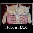 ���� ������, �����-��������� - ��������� 25 ���� 2013 � ������ ������� �������