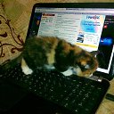 ���� ���������, ����, 53 ���� - ��������� 8 ����� 2012 � ������ ������