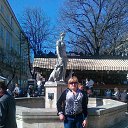 ���� �����, ������, 43 ���� - ��������� 8 ��� 2013 � ������ ������ ��