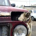 ���� ����, ������ ��������, 40 ��� - ��������� 9 ������ 2013 � ������ ������ ��������