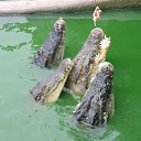 ������������ ����� ������� �� ������� ������� ���� �������