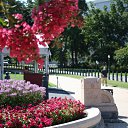 ���� ����, ������, 38 ��� - ��������� 28 ���� 2010 � ������ �������