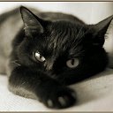���� ����, ����������, 22 ���� - ��������� 9 ����� 2012 � ������ ������