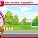 ���� ���������, ������ ��������, 41 ��� - ��������� 14 �������� 2010 � ������ �PetLove�
