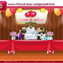  , , 36  -  8  2010   PetLove