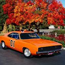���� �������, �����-���������, 41 ��� - ��������� 30 ������� 2009 � ������ �WORLD�