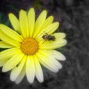 ���� ���������, ���������, 51 ��� - ��������� 9 ����� 2010 � ������ �������������