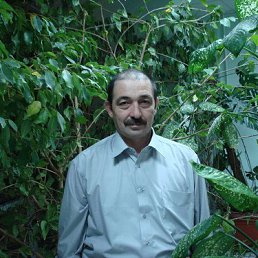 Tomas, �����������, 65 ���