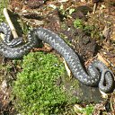 � ��� � ����� ���� ����! �� ������� �������