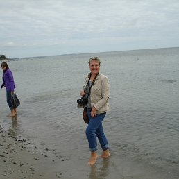 ���������� ����(��������).