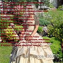 ���� ����, ���, 46 ��� - ��������� 8 ���� 2013 � ������ ���� ����������