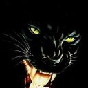 ���� ����, ���������, 42 ���� - ��������� 22 �������� 2011 � ������ �������