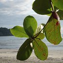 ���� �������, ���������, 51 ��� - ��������� 6 ������ 2013 � ������ ���� ����������