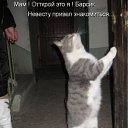 ���� ��������, ��������������, 57 ��� - ��������� 12 ������� 2009 � ������ �����������