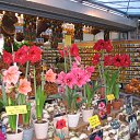 ���� �����, �����, 65 ��� - ��������� 14 ������ 2010 � ������ ��������� ���������� �� �����������.�