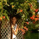 ���� ���, ������ - ��������� 2 ������� 2011 � ������ ���� ����������