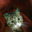 ���� ��������, ���� - ��������� 28 ������� 2012 � ������ ���� ����������