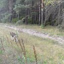 ���� ������, ������ ���, 59 ��� - ��������� 18 �������� 2012 � ������ ����� �������