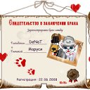 ���� ����, ��������, 44 ���� - ��������� 12 �������� 2010 � ������ ���� �������