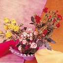 ���� �����, ������, 62 ���� - ��������� 14 ���� 2013 � ������ ���� ���������