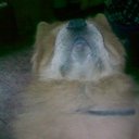 ���� ������, ������, 60 ��� - ��������� 6 �������� 2011 � ������ �����