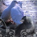 ���� ��������, �����, 73 ���� - ��������� 25 ������ 2012 � ������ ���� ����������