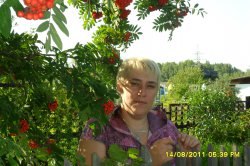 Elen, , 55 