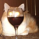 ���� @���@, �����-���������, 48 ��� - ��������� 8 ������� 2010 � ������ �������