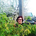 ���� �������, ������, 67 ��� - ��������� 12 ���� 2012 � ������ ���� ������ �����������