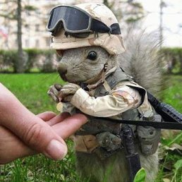 ���� �������, ������-��-����, 57 ��� - ��������� 3 ������� 2011