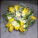 ���� �����, ������, 62 ���� - ��������� 14 ���� 2013 � ������ ���� ���������