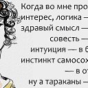 ���� �����, ������, 47 ��� - ��������� 13 ���� 2013 � ������ ���� ����������