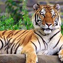 ���� ����, ����������, 60 ��� - ��������� 2 ����� 2013