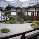 ���� ����� ��������, �����, 85 ��� - ��������� 19 ���� 2010 � ������ ��������