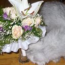 ���� Katkas, �������, 45 ��� - ��������� 2 ������ 2009 � ������ ����������